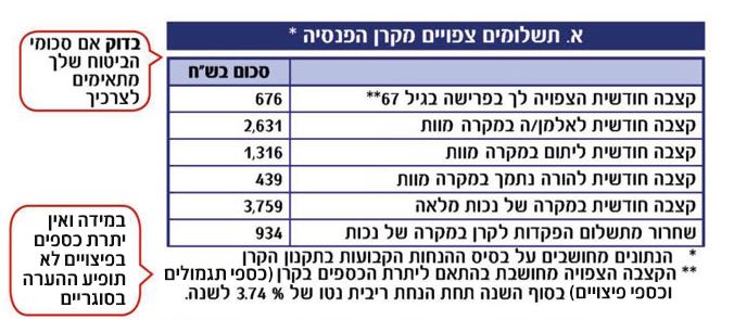 איך קוראים את הדו"ח השנתי של קרן הפנסיה? – מדריך מעשי לחוסך הישראלי