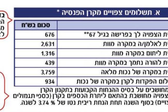 איך קוראים את הדו"ח השנתי של קרן הפנסיה? – מדריך מעשי לחוסך הישראלי
